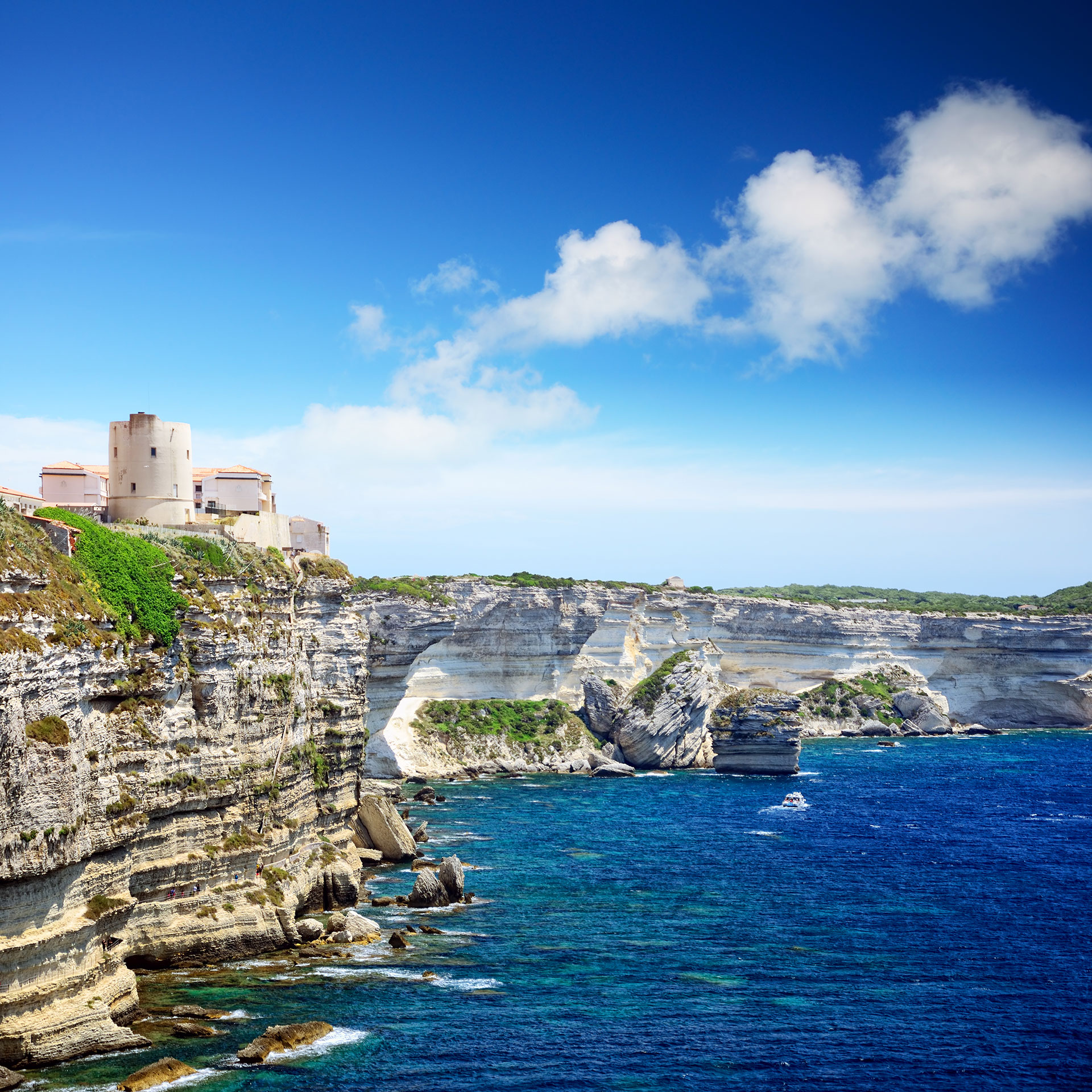 Bonifacio