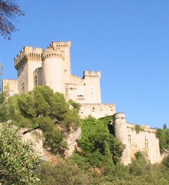 Découvrir l&rsquo;art de s&rsquo;évader en Provence : un séjour inoubliable dans les Alpilles